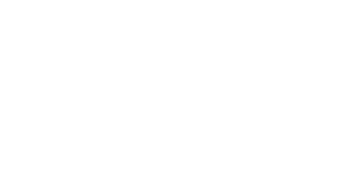 技が光る