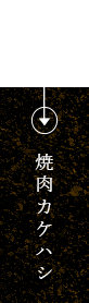 logo2